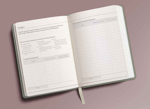Order the Guided Prenatal Planner