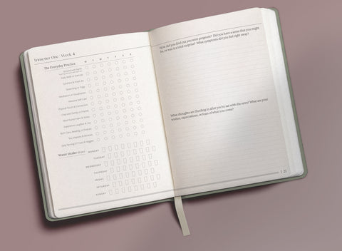 Order the Guided Prenatal Planner