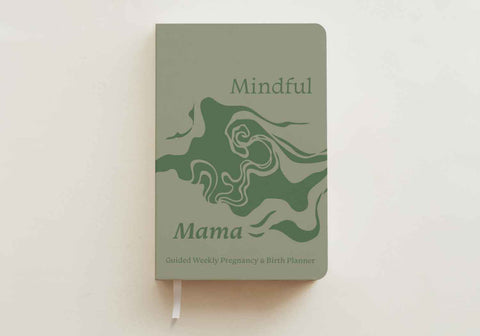 Order the Guided Prenatal Planner